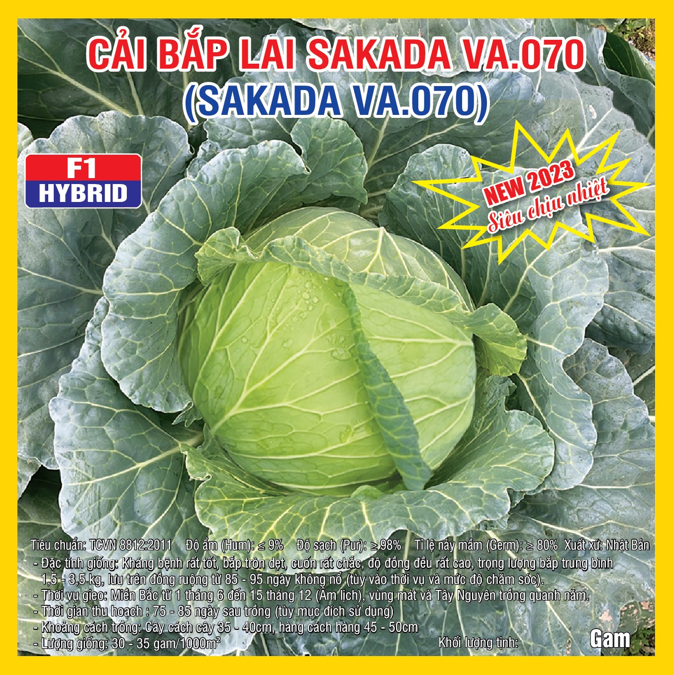 Hạt giống Cải bắp lai SAKADA (VA.070) – 10gram