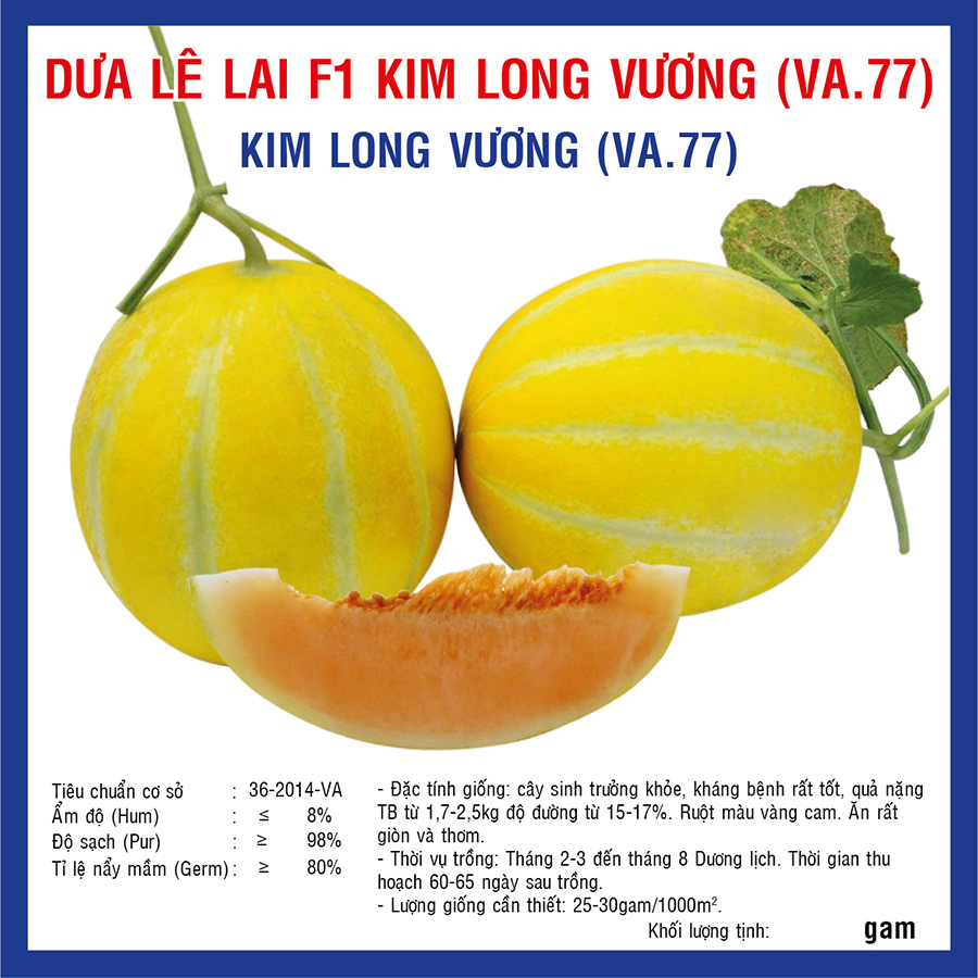Dưa Lê Lai F1 Kim Long Vương (VA.77) 10 hạt