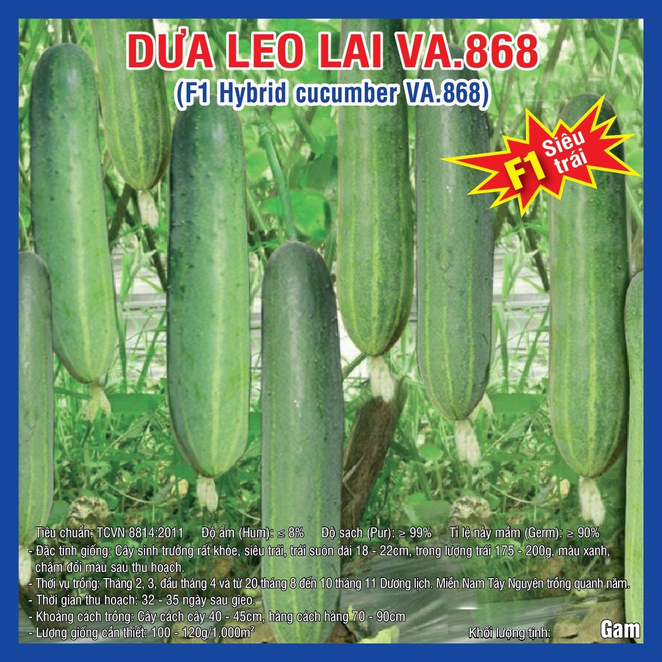 DƯA LEO LAI (VA.868) 2Gr