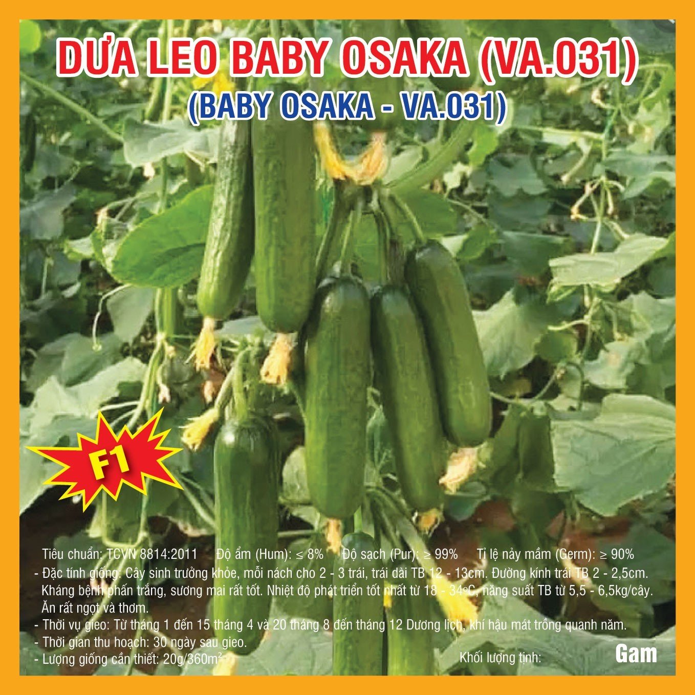 Dưa Leo Baby Osaka (VA.031) - 20 hạt